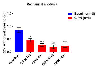 Paclitaxel 복강 내 주사를 통한 CIPN 마우스 모델 구축 본프레이 테스트를 통해 CIPN 마우스 모델에서 기계적 이질통이 발생한 것을 확인한 그래프