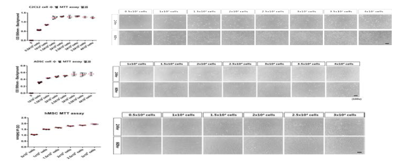 MTT assay를 수행하기 위한 적합한 각 세포별 세포수 선정 실험