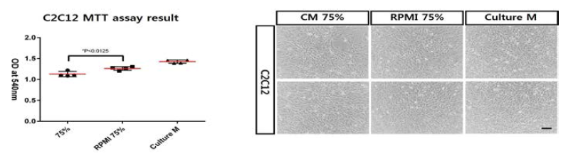 마우스 유래 근육세포(C2C12)를 이용하여 MTT assay를 통한 CT-6 배양액의 효능 검증