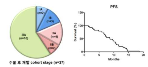 수술 후 재발 코호트의 병기와 PFS