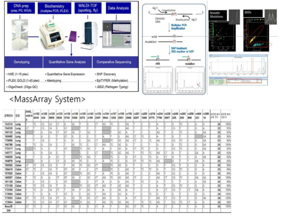 MassArray system을 이용한 유전지문 파악 시스템 및 유전자형 분석정보