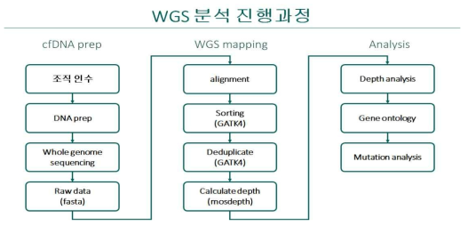 WGS 데이터 분석을 위한 BI 파이프라인