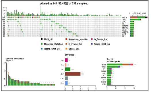 폐암 cfDNA 270례의 표적 NGS 분석 Summary