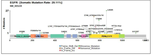 폐암 cfDNA에서 가장 빈번한 EGFR 유전자 돌연변이 위치