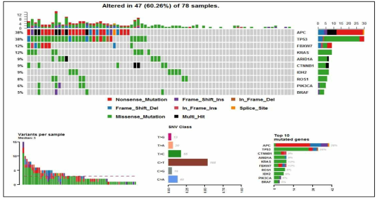 대장암 cfDNA 78례의 표적 NGS 분석 Summary