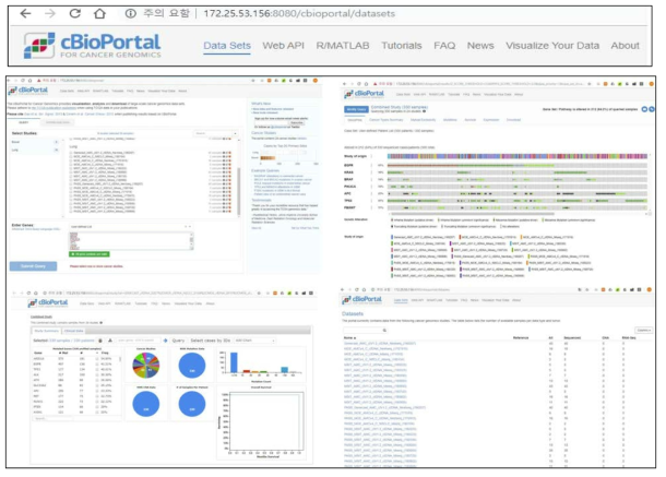 본 과제 전용으로 구축된 로컬 cBioPortal 서버 환경