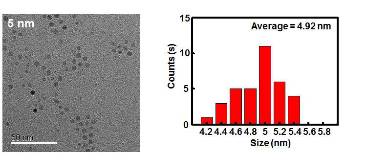 5 nm 산화철 나노입자의 TEM 이미지 및 사이즈 분포