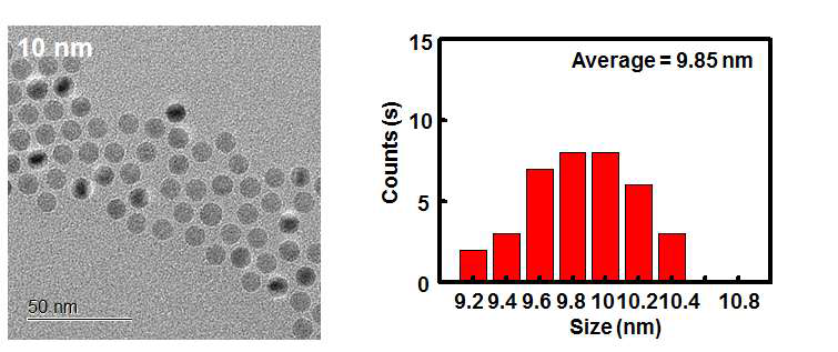 10 nm 산화철 나노입자의 TEM 이미지 및 사이즈 분포