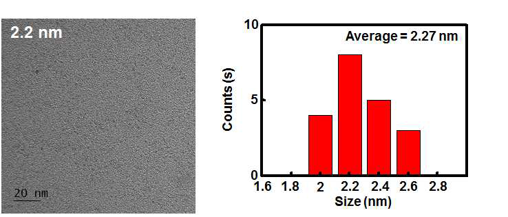 2.2 nm 산화철 나노입자의 TEM 이미지 및 사이즈 분포