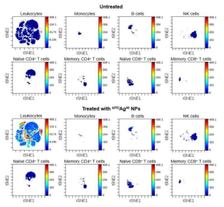 나노물질 노출 전후 각 면역세포 군집 내 Cellular AgNPs Uptake에 대한 t-SNE 맵 비교분석