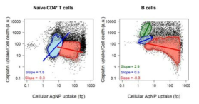naive CD4+ T 세포와 B 세포 내 나노물질 노출량-반응 관계