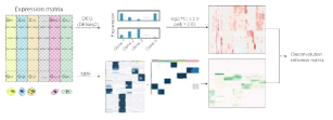 Deconvolution reference matrix 구축