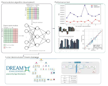 신경망 구조 deconvolution 알고리즘 개발 및 Deconvolution Dream Challenge