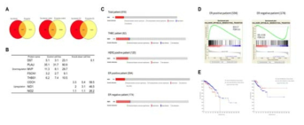 Exosomal secretome 분석을 통해 도출한 Nidogen-1의 in silico 분석 결과