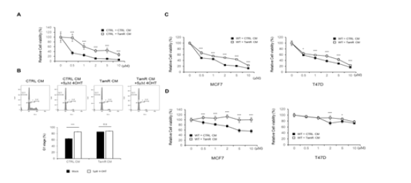 Tamoxifen 저항성 세포주의 배양액으로 인해 tamoxifen의 저항성이 유도됨을 확인한 결과