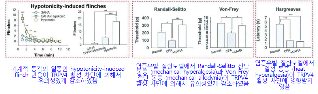 1단계 연구수행을 통해 규명한 통증변조인자 TRPV4가 담당하는 특이적인 질환성 통증