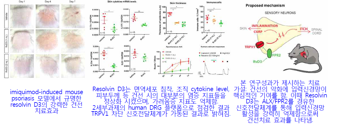 건선 및 가려움증 제어기술인 Resolvin D3 발굴 (ALX/FPR2 효현제)