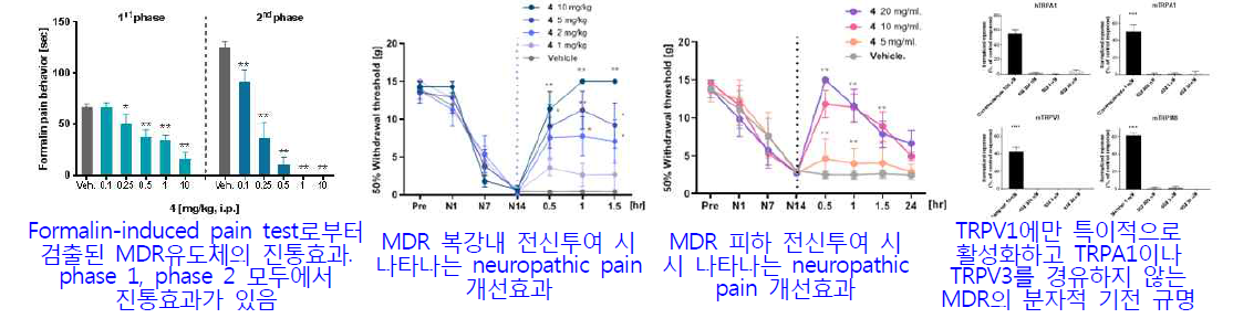 통증 제어기술인 MDR 유도체 발굴 (TRPV1 효현제)