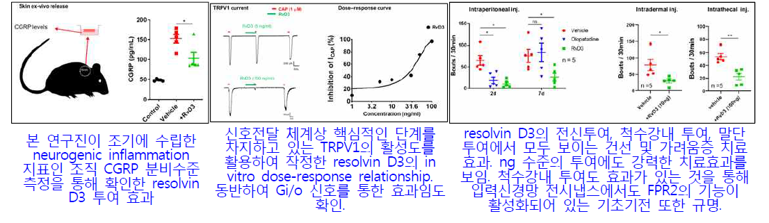 Resolvin D3 (ALX/FPR2 효현제)의 약리적 기전과 치료효용성 심화연구