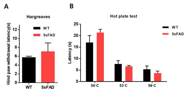 5xFAD 모델에서 유해한 열 자극에 의한 통증 민감성 확인 (A, B) 유해한 열(UV) 자극(infrad radient IR:30)에 의한 통증반응이 대조군에 비해 별다른 차이가 없었음. (C, D) 유해한 온도 자극에 의한 통증반응이 대조군에 비해 별다른 차이가 없었음