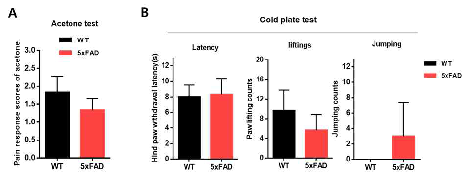 5xFAD 모델에서 유해한 차가운 온도 자극에 의한 통증 민감성 확인 (A, B) Acetone에 의한 통증반응이 대조군에 비해 별다른 차이가 없었음. (C, D) 유해한 차가운 온도 자극(-5℃)에 의한 통증반응(lifting, jumping)이 대조군에 비해 별다른 차이가 없었음