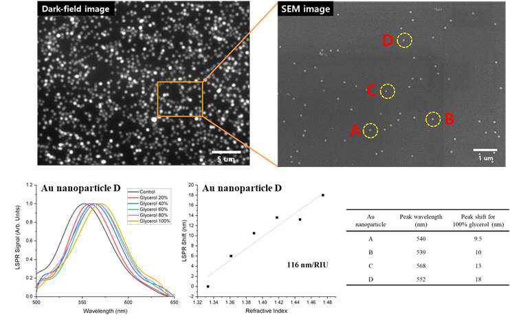 금 나노입자의 암시야 이미지 및 동일 영역에 대한 주사전자현미경 이미지. 임의의 나노입자에 대한 굴절률 변화에 따른 LSPR 파장 변이 및 굴절률 민감도 평가. 서로 다른 형상을 갖는 임의의 4개 나노입자 각각의 굴절률 민감도 평가 표.