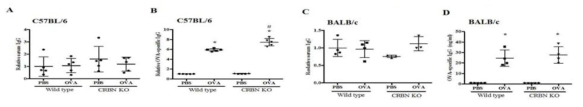 CRBN발현에 따른 항체 분비량 차이. A) C57BL/6 마우스의 IgG 분비량. B) C57BL/6 마우스의 OVA특이적 IgG 분비량. C) BALB/c 마우스의 OVA특이적 IgG 분비량