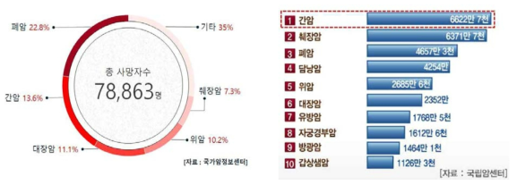 간암으로 인한 높은 사망률과 환자 1인당 치료비 부담