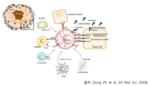 간암에서의 여러 가지 자연살해세포 기능저해요인