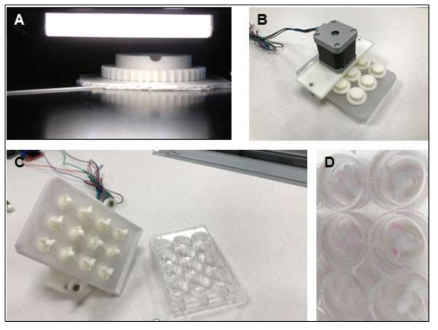 3D 프린터를 이용한 미니 Shaker 제작 및 미니 뇌 배양 기술 적용