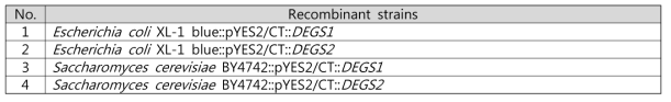본 연구에서 제작한 재조합 균주