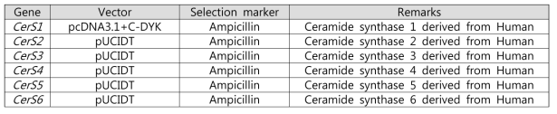 Human ceramides 생합성을 위해 확보된 외래 ceramide synthases 유전자