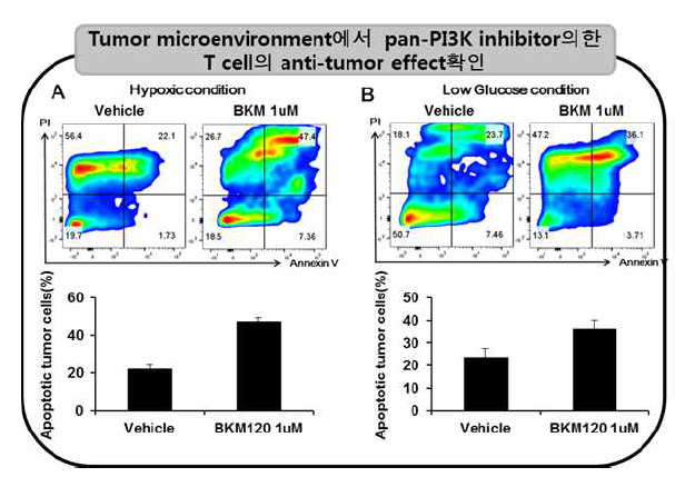 pan-PI3K inhibitor로 인한 Tumor microenvironment에서의 T cell effect 극대화