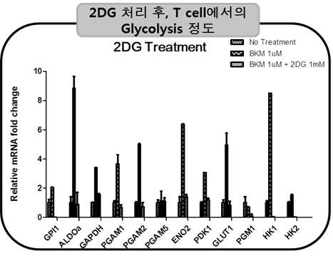 2DG 처리 후, T cell에서의 Glycolysis metabolism관련 유전자 확인