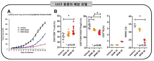 LLC2 모델에서 Tumor growth 및 항암면역기전 확인