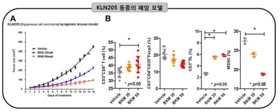 KLN205 모델에서 Tumor growth 및 항암면역기전 확인