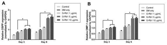 Effect of ginsenoside Rb1 on the expression of odontoblastic differentiation markers in HDPCs. The cells were cultured on DM in the absence or presence of G-Rb1 (1, 5, and 10 μg/mL) for 3 and 6 days