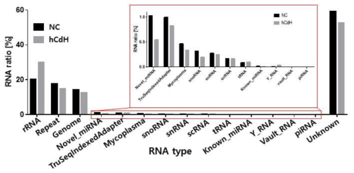 본 연구팀에서 분리한 간줄기 세포 유래 엑소좀의 RNA 구성물 확인