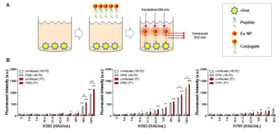 펩타이드를 fluorescent probe를 이용하여 96 well plate에 바이러스를 coating한뒤 바이러스 반응성을 측정하였음