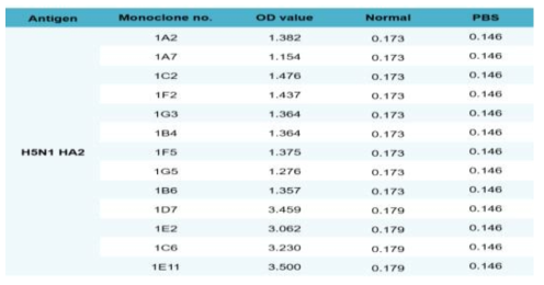 Monoclonal antibodies for H5N1 HA2 specific antigen