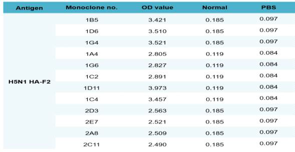 Monoclonal antibodies for H5N1 HA-F2 specific antigen