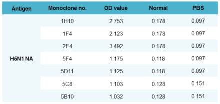 Monoclonal antibodies for H5N1 NA specific antigen