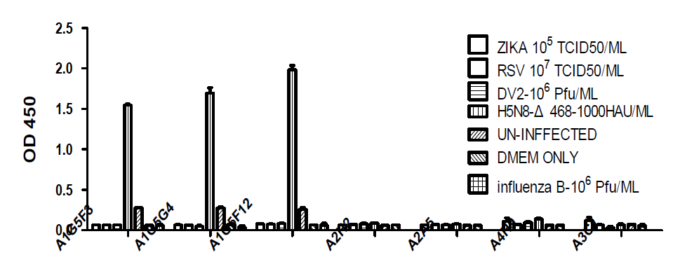 limit dilution 한 clone 에 대한 다른 바이러스 반응성