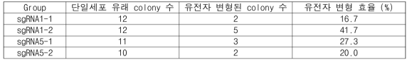 sgRNA에 따른 유전자 변형 효율