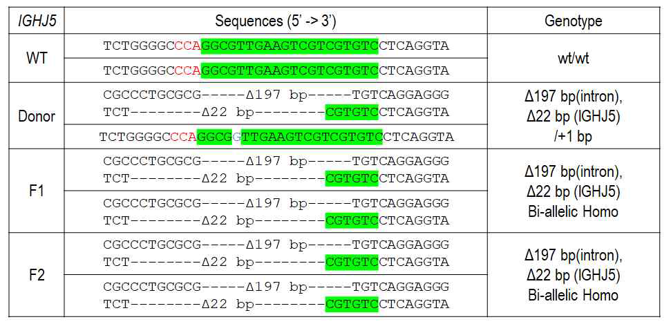GGTA1-/-/CMAH-/-/pIGH-/- Fetus의 target region 염기서열 변화 분석