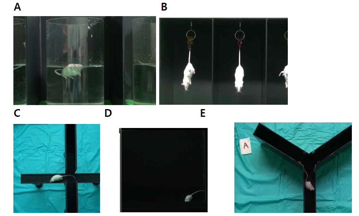 A) FST(Forced swim test), B) TST(Tail suspension test), C) EPMT(Elevated plus maze test), D) OFT(Open Field Test), E) Y-Maze (Y Maze)