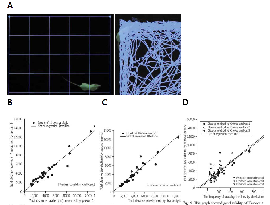 A) 개방공간 검사(Open Field Test)에서 Kinovea라는 소프트웨어를 이용하여 활동을 추적하는 방법을 설명, B) Kinovea 소프트웨어를 활용하여 OFT 검사를 판독한 경우의 검사자 간 높은 신뢰도를 보임, C) Kinovea 소프트웨어의 검사-재검사 신뢰도가 높음을 보임, D) Kinovea 소프트웨어를 활용한 판독의 타당도가 높음을 보임
