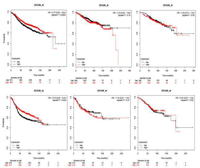 Luminal A,B type 유방암의 Recurrence free sur vival (RFS, 무재발 생존율, 좌) , Distant metastasis free survival (DMFS, 무전이 생존율, 중) 및 Overall survival (OS, 전체생존율, 우)와 GLUT1 발현과의 연관성. DMFS와 OS에서는 연관성이 없었으며, RFS에서는 오히려 low expression group의 예후가 더 좋지 않은 것으로 확인