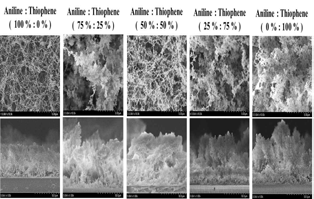 co-polymer 박막의 각각 모노머 블렌딩 비율에 따른 co-polymer 박막의 FE-SEM 결과