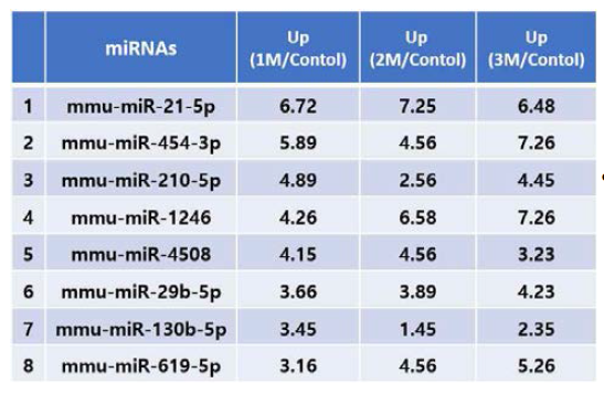 동맥경화가 유발된 마우스 혈액 엑소좀내 microRNA 발현변화